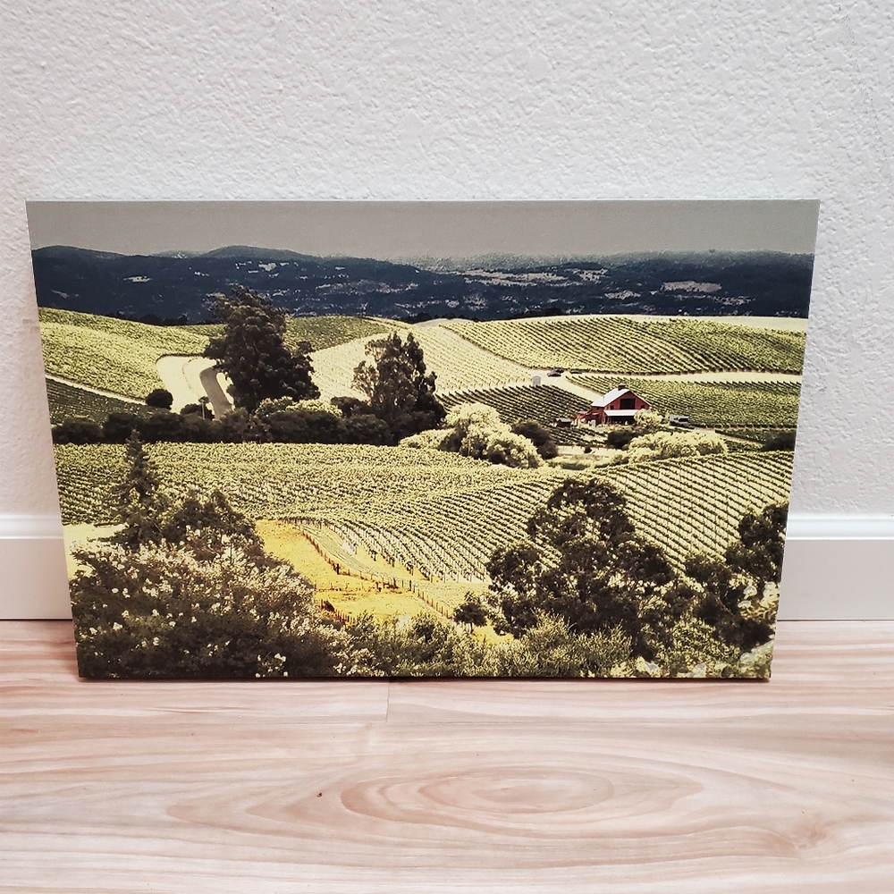 Marlowe Boyd nature portrait, California wine country.